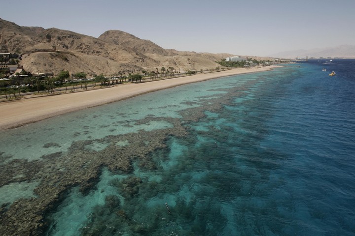 שוניות האלמוגים בים האדום, אילת (צילום: אנה קפלן / פלאש90)