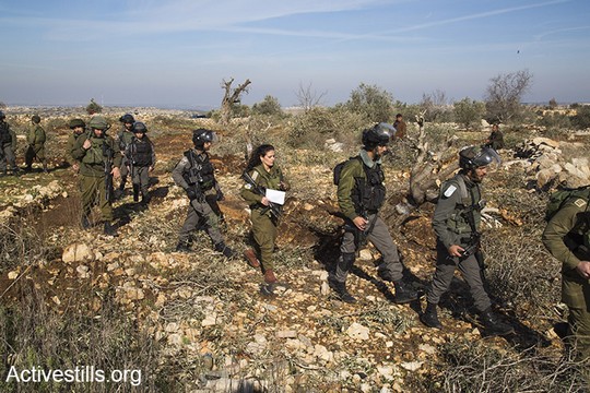 חילים מגיעים למקום כדי לוודא שאף אחד לא מעכב את כריתת העצים. (קרן מנור/אקטיבסטילס)
