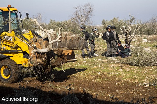 ראש מועצת עזבת טביב ופעילה ישראלית מסרבים להתפנות ונעצרים (קרן מנור/אקטיבסטילס)