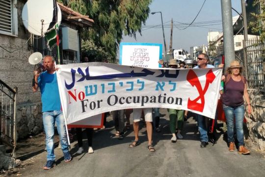 מפגינים צועדים לביתה של משפחת שמסאנה בשייח' ג'ראח (צילום: אורלי נוי)