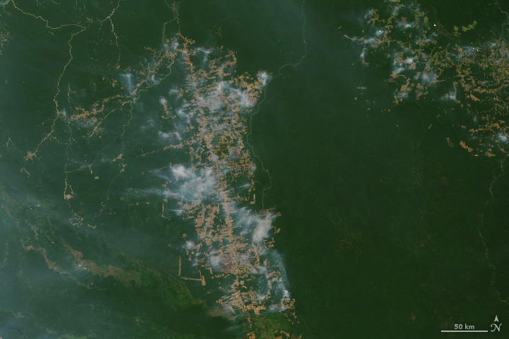 שריפות באמזונס, צילום לוויין של נאס"א ב-19 באוגוסט 2019