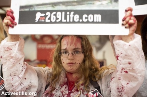 פעילות זכויות בעלי חיים שפכו צבע אדום-דם בחנות המפעל של זוגלובק בנהריה. נובמבר 2013 (אורן זיו / אקטיבסטילס)