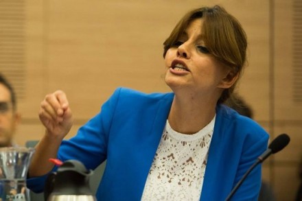 ח"כ אורלי לוי-אבוקסיס בדיון ב"ביום הדיור הציבורי" בכנסת (צילום: נטע ריבקין פנטון)