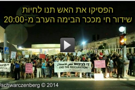 הפגנה בשידור ישיר (צילום: חיים שוורצנברג)