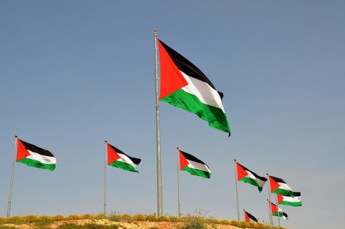 גדול יותר מהדגל בעקבה? דגלי פלסטין בכניסה למרכז המבקרים (CC BY-NC 2.0 scottgun)