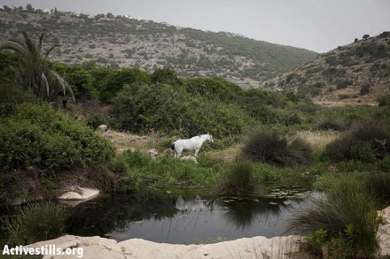 ואדי קנה (קרן מנור / אקטיבסטילס)