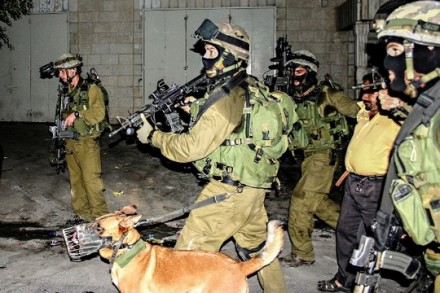 פשיטה לילית על הכפר בלעין (חמדה אבו-רחמה)