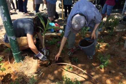 סטודנטים בשתילת המחאה בשער 17, אוניברסיטת תל אביב (נגה מרמור)