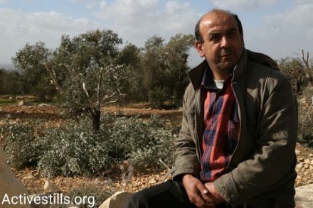 ריאד אבו הניה על רקע העצים הגדועים על אדמתו (צילום: קרן מנור'אקטיבסטילס)