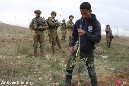 חיילים מורים לחקלאים מהכפר עסירה אל קבלייה להפסיק לנטוע עצים כי לא קיבלו לכך אישור מהמנהל האזרחי. החקלאים מוחים על הפקעת אדמות פרטיות לטובת התנחלות יצהר. 26 בינואר 2017 (צילום: אחמד אל-באז/אקטיבסטילס)