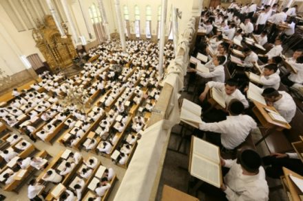 מה באמת רוצים החילונים המוחים? לימוד גמרא בישיבת פוניבז' בבני ברק (נתי שוחט, פלאש90)