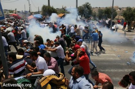 שוטרים מפזרים מפגינים באלימות. מעל לאלף קיבלו טיפול רפואי במהלך עשרת ימי מחאת המגנומטרים (אורן זיו/אקטיבסטילס)