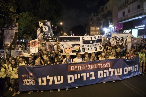 חברי הכנסת בחזית הצעדה לזכויות בעלי החיים (אורן זיו / אקטיבסטילס)