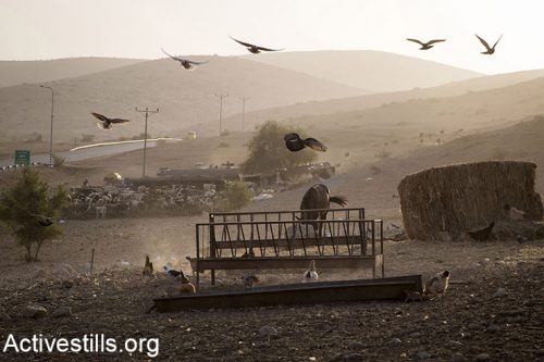 מאות פלסטינים בבקעה עומדים בפני גירוש: "רק רוצים לחיות"