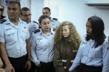 עהד תמימי בית המשפט, בדיון על הארכת מעצרה (צילום: פלאש90)