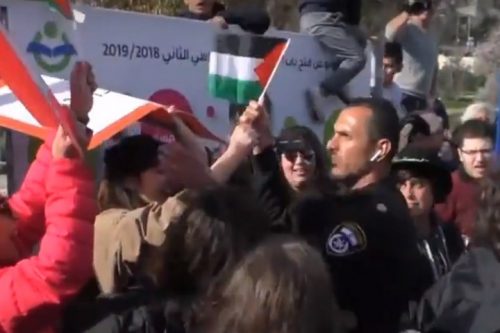 שוטר חוטף דגל ממפגין במהלך הפגנה בשייח ג'ראח בירושלים המזרחית, נגד פינוי משפחות מבתיהן. 8 בפברואר 2019. (צילום מסך מתוך יוטיוב)