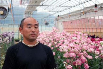 מר אראקאווה באחת מחממות פרחי היפעה שלו (צילום: טל טארו)